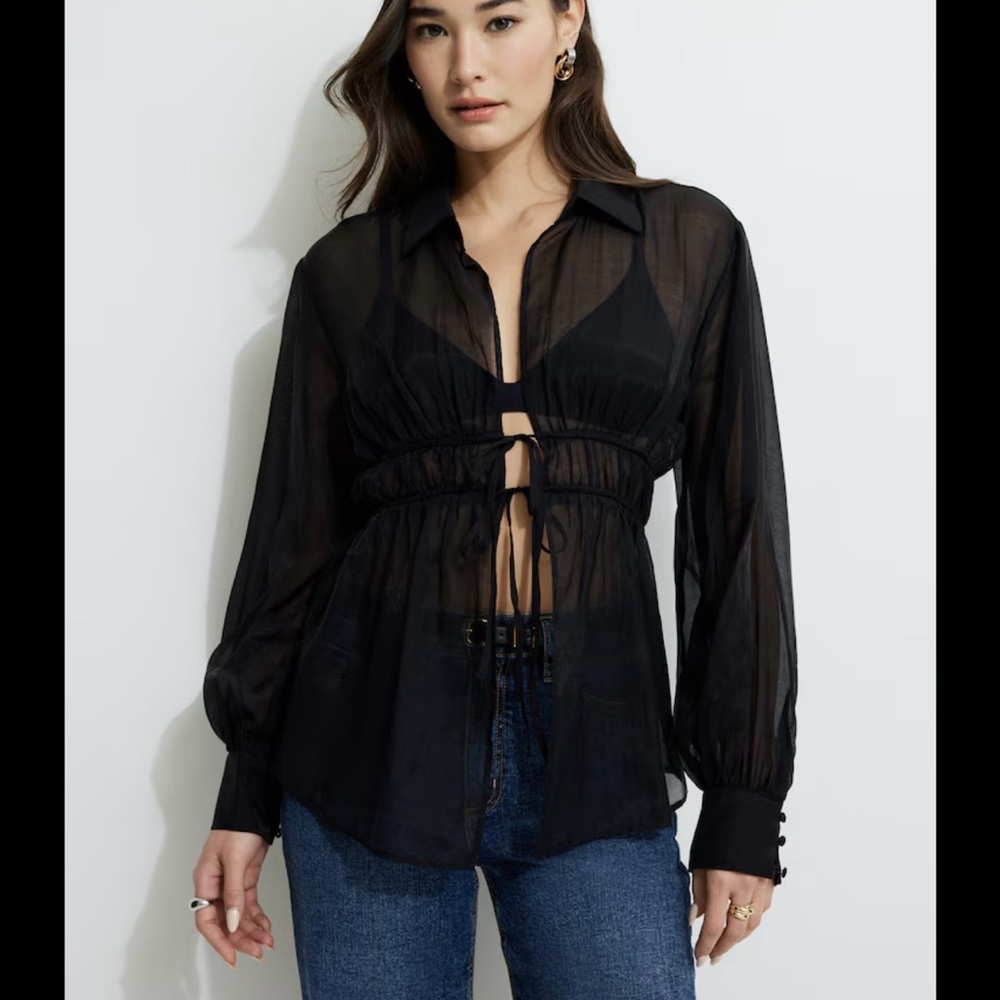 Black Sheer Blouse | Dynamite